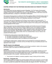 Eisg Brachaidh EIA Scoping Opinion 